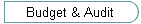 Budget & Audit